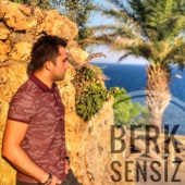 Sensiz artwork