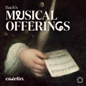 Bach's Musical Offerings artwork
