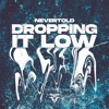 Dropping It Low - Single