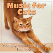 Music for Cats: Soothing Sounds to Help Your Feline Relax artwork