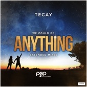 Anything (Extended Mixes) [Remixes] artwork