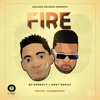 Fire (feat. Okey Sokay) - Single