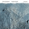 András Schiff - Moments musicaux, Op. 94, D. 780: No. 1 in C Major, Moderato