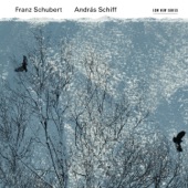 Piano Sonata No. 21 in B Major, D. 960: III. Scherzo. Allegro vivace con delicatezza – Trio artwork