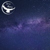 Strix Aluco - Centauri