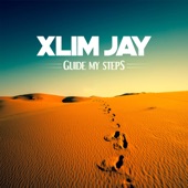 Guide My Steps artwork