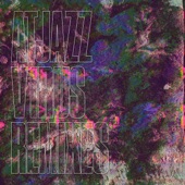 V1rus (Remixes) artwork