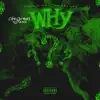 Why? - Single album lyrics, reviews, download