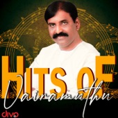 Hits of Vairamuthu artwork