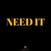 Need It (Instrumental) song lyrics