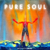 Pure Soul artwork