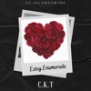 Estoy enamorado - Single