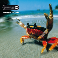 The Prodigy - The Fat of the Land artwork