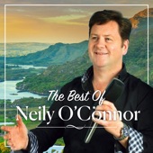 The Best of Neily O'connor - EP artwork