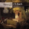 J.S. Bach: Violin Concertos