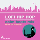 LoFi HIP HOP - calm beats mix - Music for Studying artwork