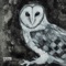 Owl Song artwork