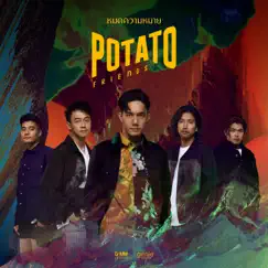 หมดความหมาย - Single by Potato album reviews, ratings, credits