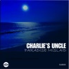 Paradise Mislaid - Single