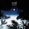 Coil - Red Birds Will Fly Out of the East and Destroy Paris In a Night
