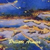 Private Armies - Single