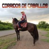 Corridos De Caballos