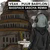 Puur Babylon (Bassface Sascha Remix) - Single album lyrics, reviews, download