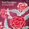 Saving Grace - Todd Rundgren lyrics