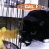 Pack Up the Cats album lyrics, reviews, download