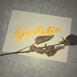 Goldie - Single