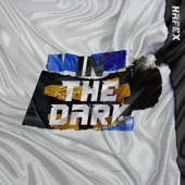 In The Dark artwork