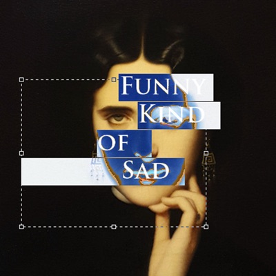 Funny Kind Of Sad Lyrics Playlists Videos Shazam