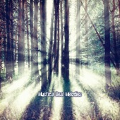 Mystical Bear Melodies artwork