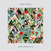 Jungle Minimalist - EP artwork