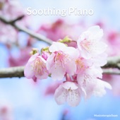 Soothing Piano artwork