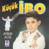 Ayrılık Acısı artwork