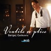 Vratile se ptice - Single