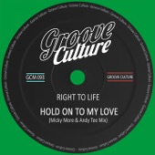 Hold On To My Love (Micky More & Andy Tee Mix) artwork