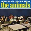 Animalization, 1966