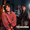 Try Everything - Single