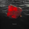 Forever - Single