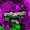 Denzel Curry, Kenny Beats, Smino, Robert Glasper - So.Incredible.pkg (Robert Glasper Version)