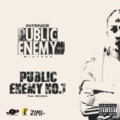 Public Enemy No. 1 (feat. Govana) artwork