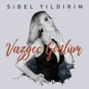 Vazgeç Gönlüm - Single