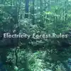 Electricity Forest Rules album lyrics, reviews, download