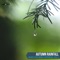 Mystical Spring Rain Melodies - Rainforest Fantasy Music lyrics