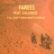 Y'all Don't Know What's Goin On (feat. Calexico) - Farees lyrics