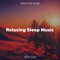 Relaxing Music - Study Janelle lyrics