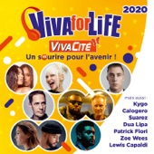 Viva For Life 2020 artwork