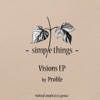 Visions - Single